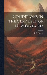bokomslag Conditions in the Clay Belt of New Ontario