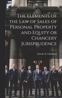 bokomslag The Elements of the law of Sales of Personal Property and Equity or Chancery Jurisprudence