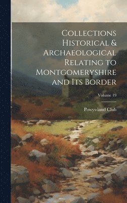 bokomslag Collections Historical & Archaeological Relating to Montgomeryshire and its Border; Volume 19