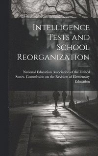 bokomslag Intelligence Tests and School Reorganization