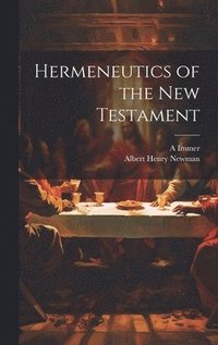 bokomslag Hermeneutics of the New Testament