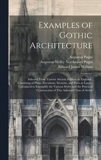 bokomslag Examples of Gothic Architecture