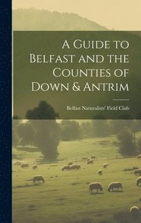 bokomslag A Guide to Belfast and the Counties of Down & Antrim