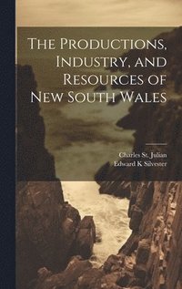 bokomslag The Productions, Industry, and Resources of New South Wales