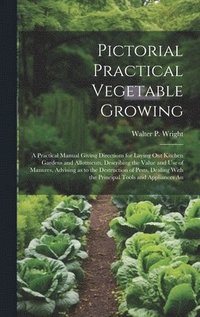 bokomslag Pictorial Practical Vegetable Growing; a Practical Manual Giving Directions for Laying out Kitchen Gardens and Allotments, Describing the Value and use of Manures, Advising as to the Destruction of...