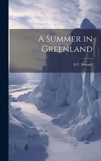 bokomslag A Summer in Greenland