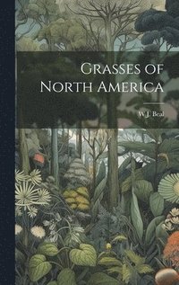 bokomslag Grasses of North America