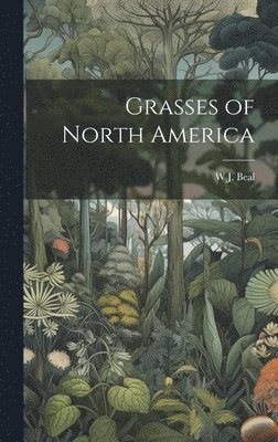 bokomslag Grasses of North America