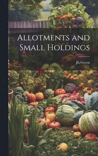 bokomslag Allotments and Small Holdings