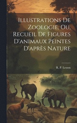 bokomslag Illustrations de zoologie, ou, Recueil de figures d'animaux peintes d'aprs nature