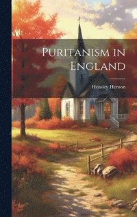 bokomslag Puritanism in England