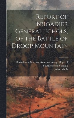Report of Brigadier General Echols, of the Battle of Droop Mountain