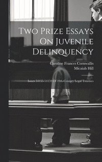 bokomslag Two Prize Essays On Juvenile Delinquency