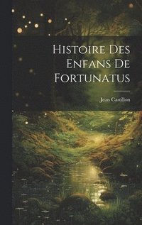 bokomslag Histoire des enfans de Fortunatus