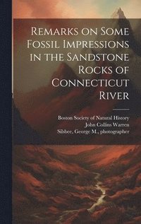 bokomslag Remarks on Some Fossil Impressions in the Sandstone Rocks of Connecticut River