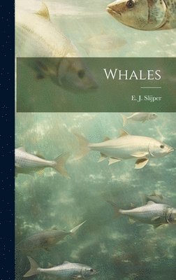 bokomslag Whales