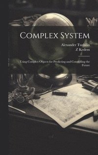 bokomslag Complex System