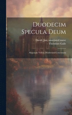 bokomslag Duodecim specula deum