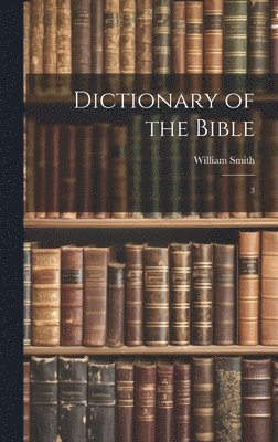 bokomslag Dictionary of the Bible