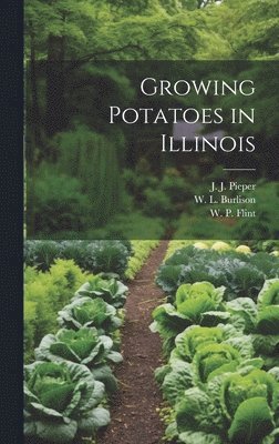 bokomslag Growing Potatoes in Illinois