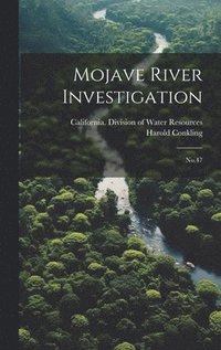 bokomslag Mojave River Investigation
