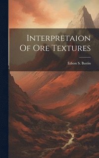 bokomslag Interpretaion Of Ore Textures