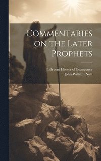 bokomslag Commentaries on the later prophets