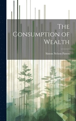 bokomslag Consumption of Wealth