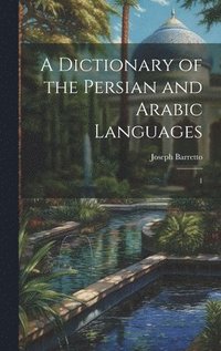 bokomslag Dictionary of the Persian and Arabic Languages