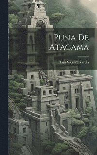 bokomslag Puna De Atacama