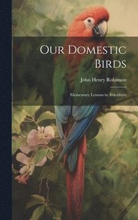 bokomslag Our Domestic Birds