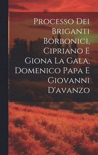 bokomslag Processo Dei Briganti Borbonici, Cipriano E Giona La Gala, Domenico Papa E Giovanni D'avanzo