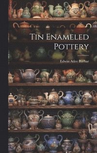bokomslag Tin Enameled Pottery