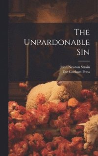 bokomslag The Unpardonable Sin