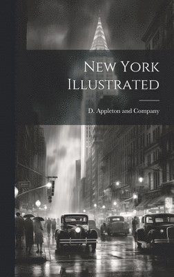 bokomslag New York Illustrated