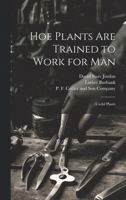 Hoe Plants are Trained to Work for Man; Useful Plants