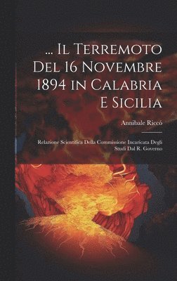 bokomslag ... Il Terremoto Del 16 Novembre 1894 in Calabria E Sicilia