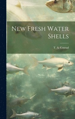New Fresh Water Shells 1