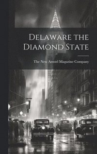 bokomslag Delaware the Diamond State