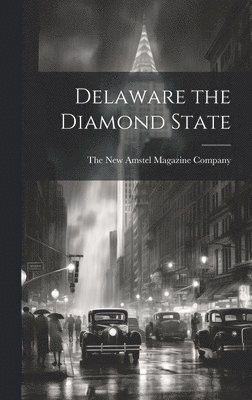 Delaware the Diamond State 1