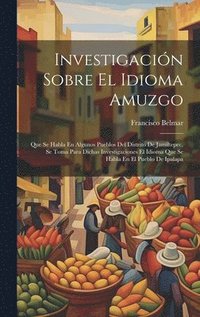 bokomslag Investigacin Sobre El Idioma Amuzgo