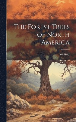 bokomslag Forest Trees of North America