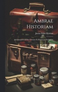 bokomslag Ambrae historiam