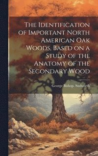 bokomslag The Identification of Important North American oak Woods, Based on a Study of the Anatomy of the Secondary Wood