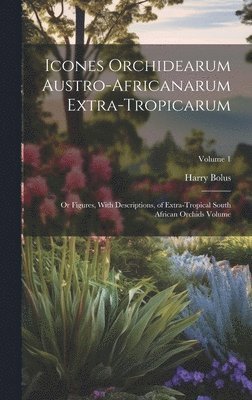 bokomslag Icones Orchidearum Austro-africanarum Extra-tropicarum