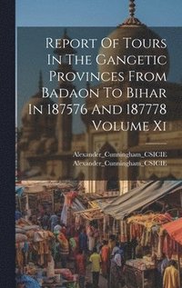 bokomslag Report Of Tours In The Gangetic Provinces From Badaon To Bihar In 187576 And 187778 Volume Xi