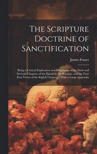 bokomslag Scripture Doctrine of Sanctification; Being a Critical Explication and Paraphrase of the Sixth and Seventh Chapters of the Epistle to the Romans, and the Four First Verses of the Eighth Chapter ......