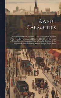 bokomslag Awful Calamities