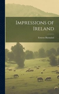 bokomslag Impressions of Ireland