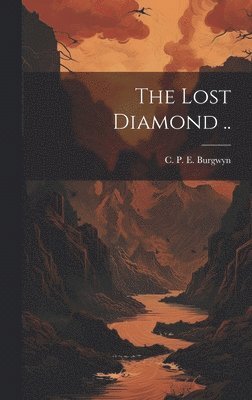 bokomslag The Lost Diamond ..